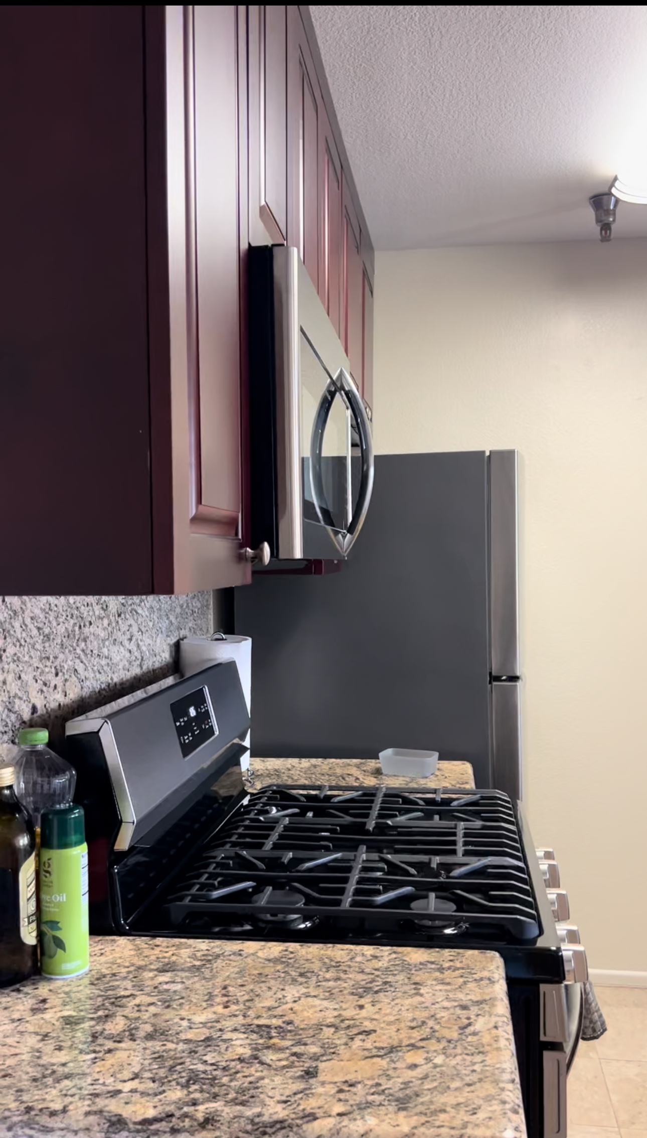 Strathmore Regency, ucla, 11050 Strathmore Dr, Los Angeles, CA 90024, USA, Photo:3