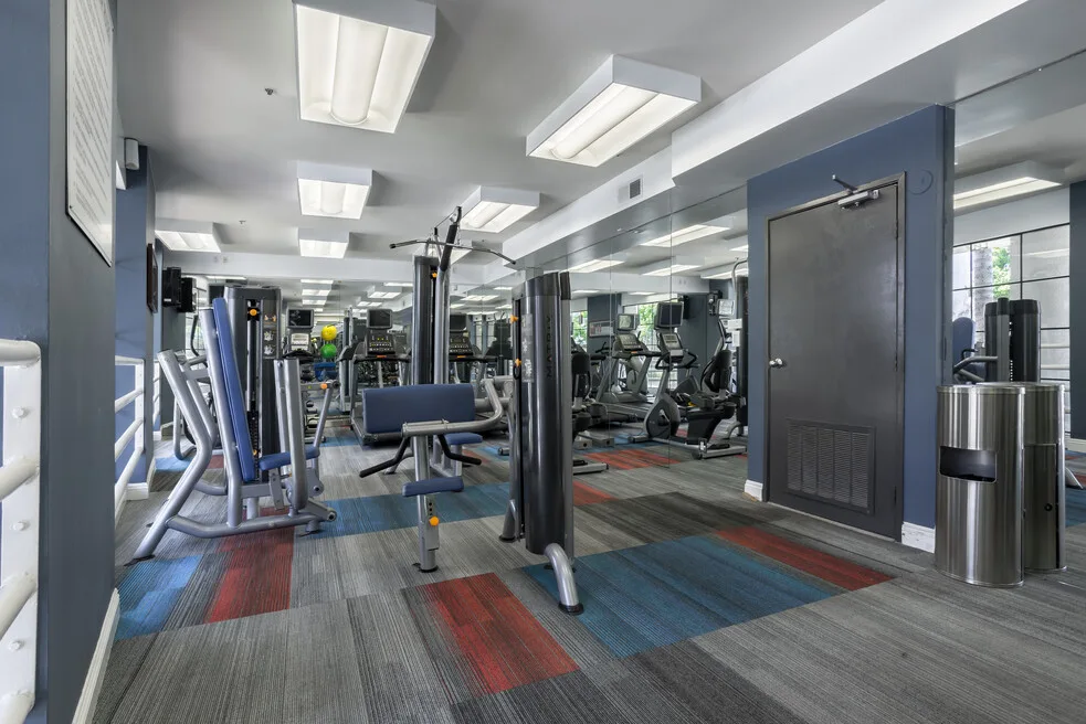 527 Midvale Sublease - Fall Quarter, ucla, 527 Midvale Ave, Los Angeles, CA 90024, USA, Photo:6