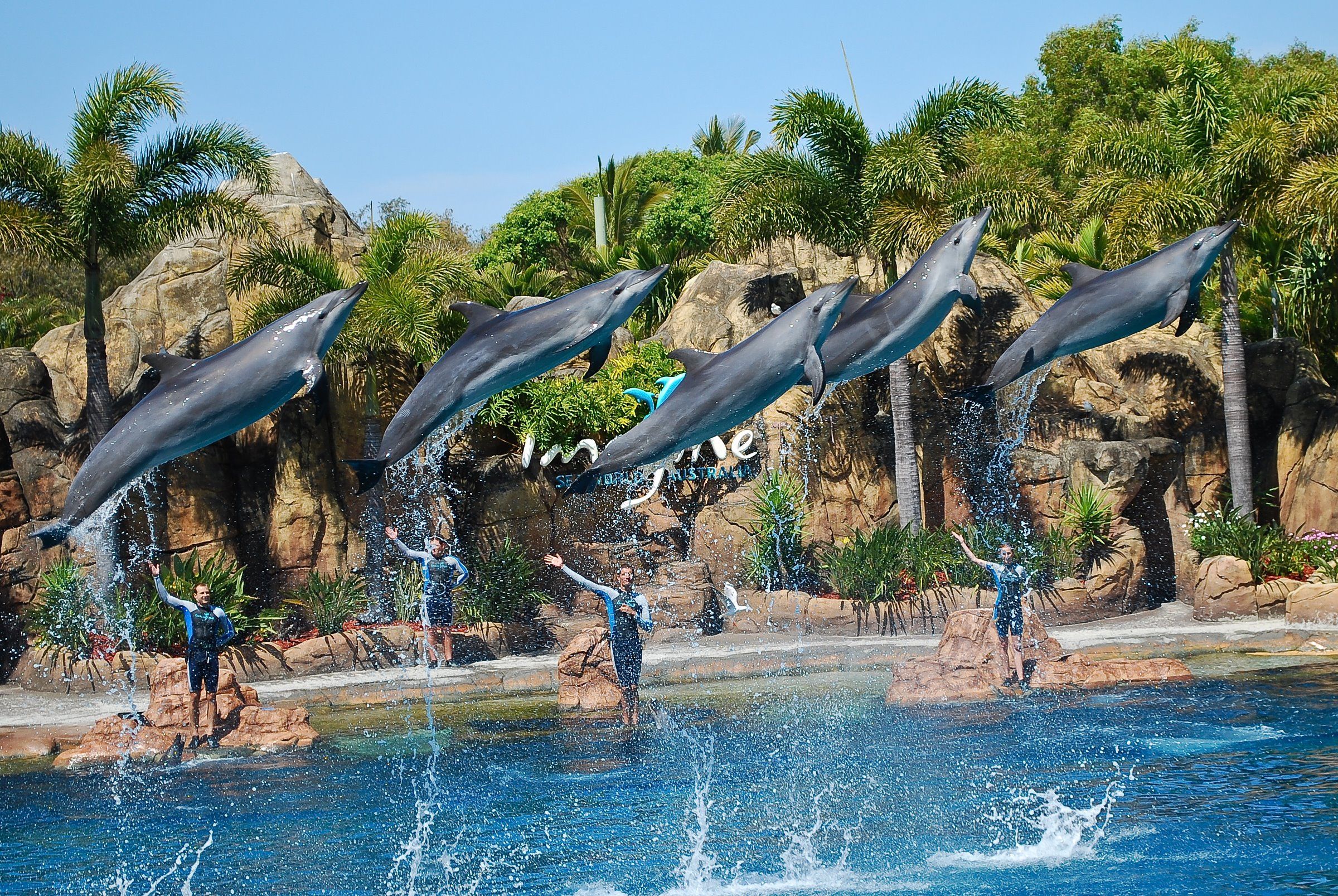 SEA WORLD