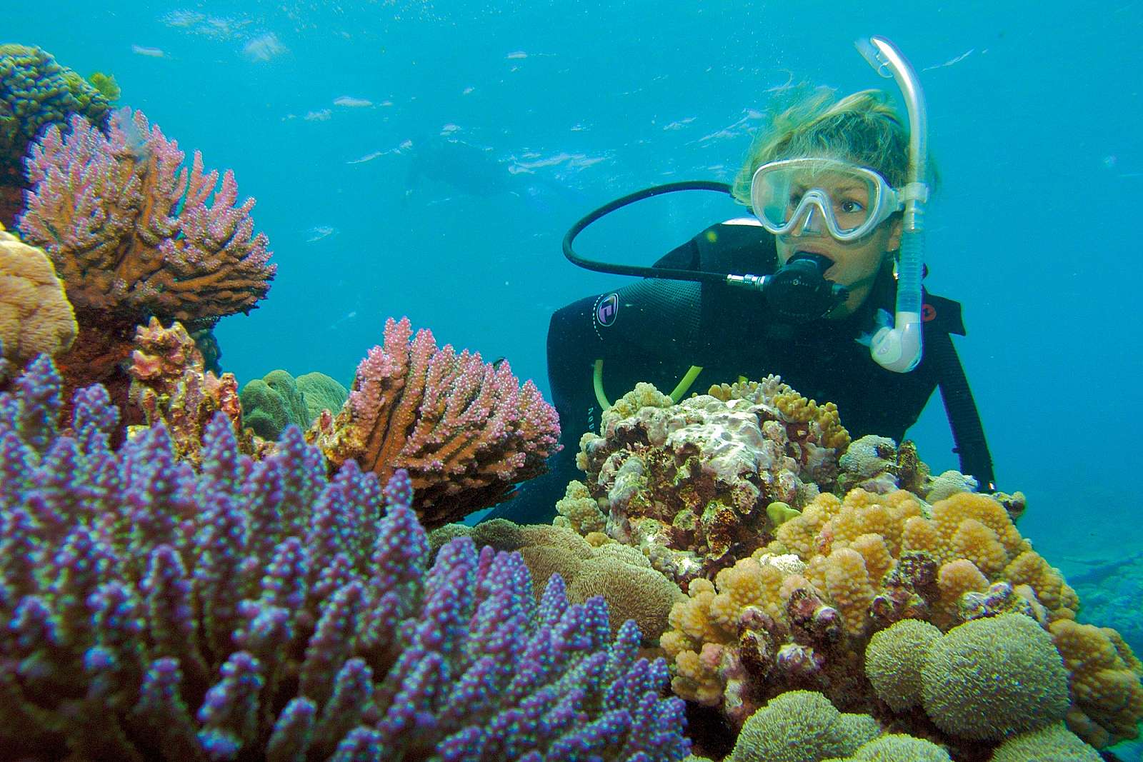 SILVERSONIC DIVE & SNORKEL ADVENTURES