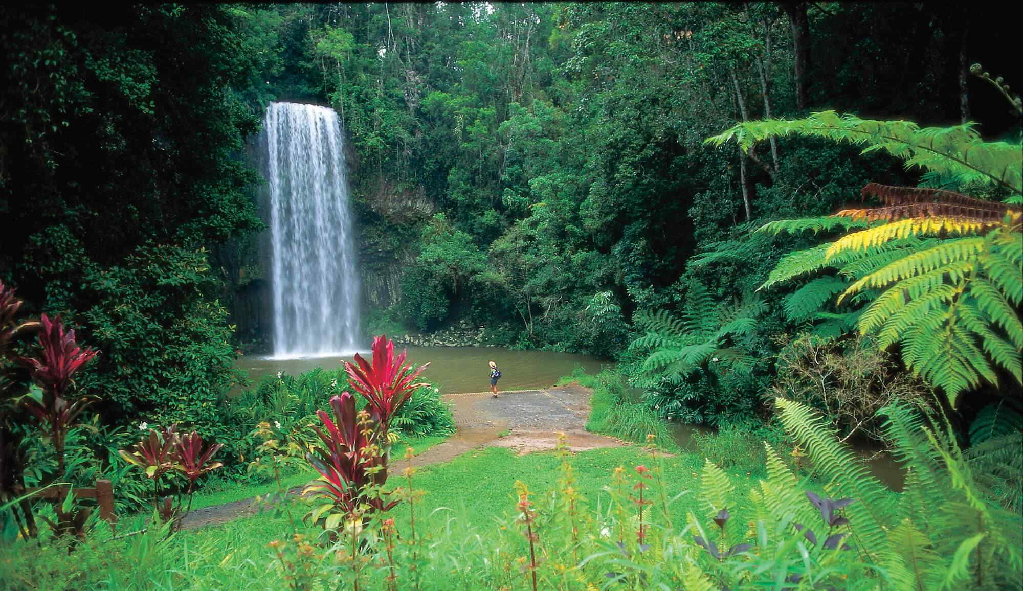 ATHERTON TABLELANDS