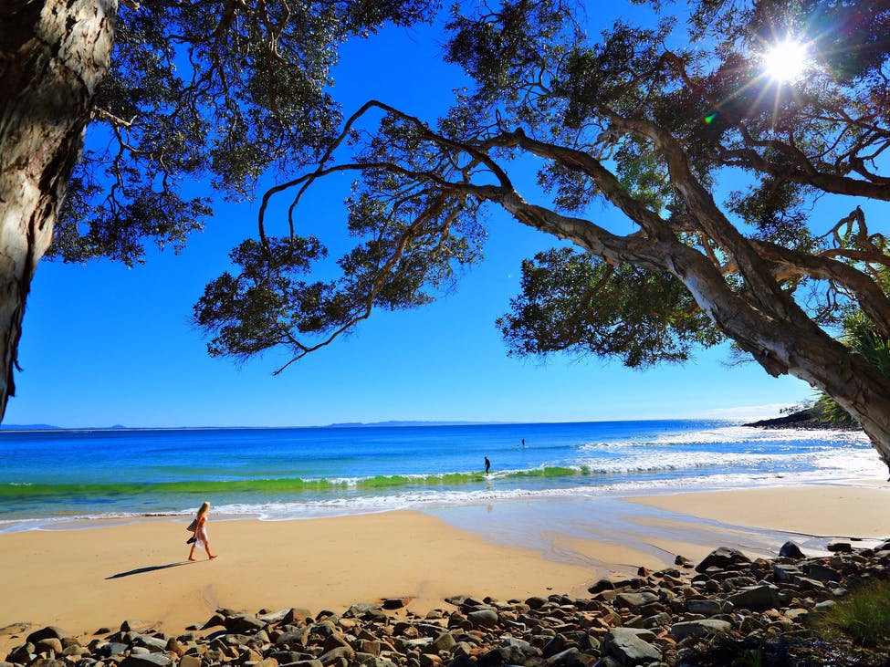 Tea Tree Bay