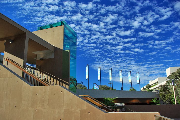 The Cultural Precinct