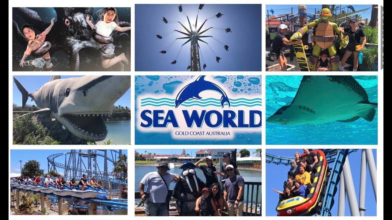 Gold Coast Theme Parks - Sea World