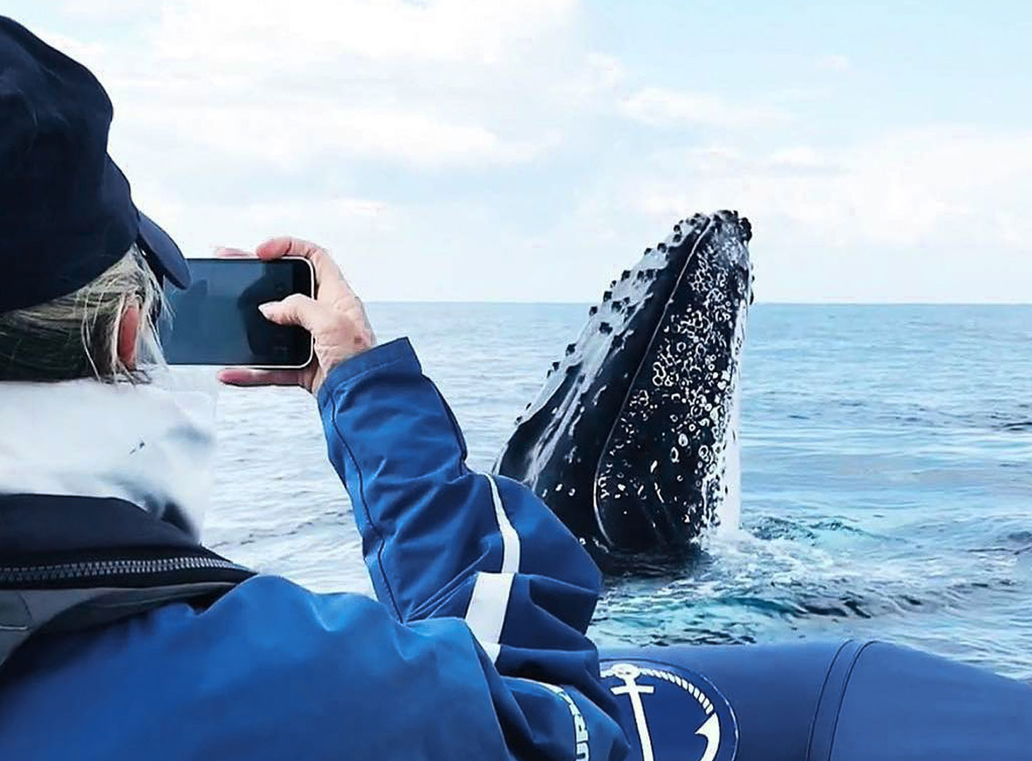 Marine Life