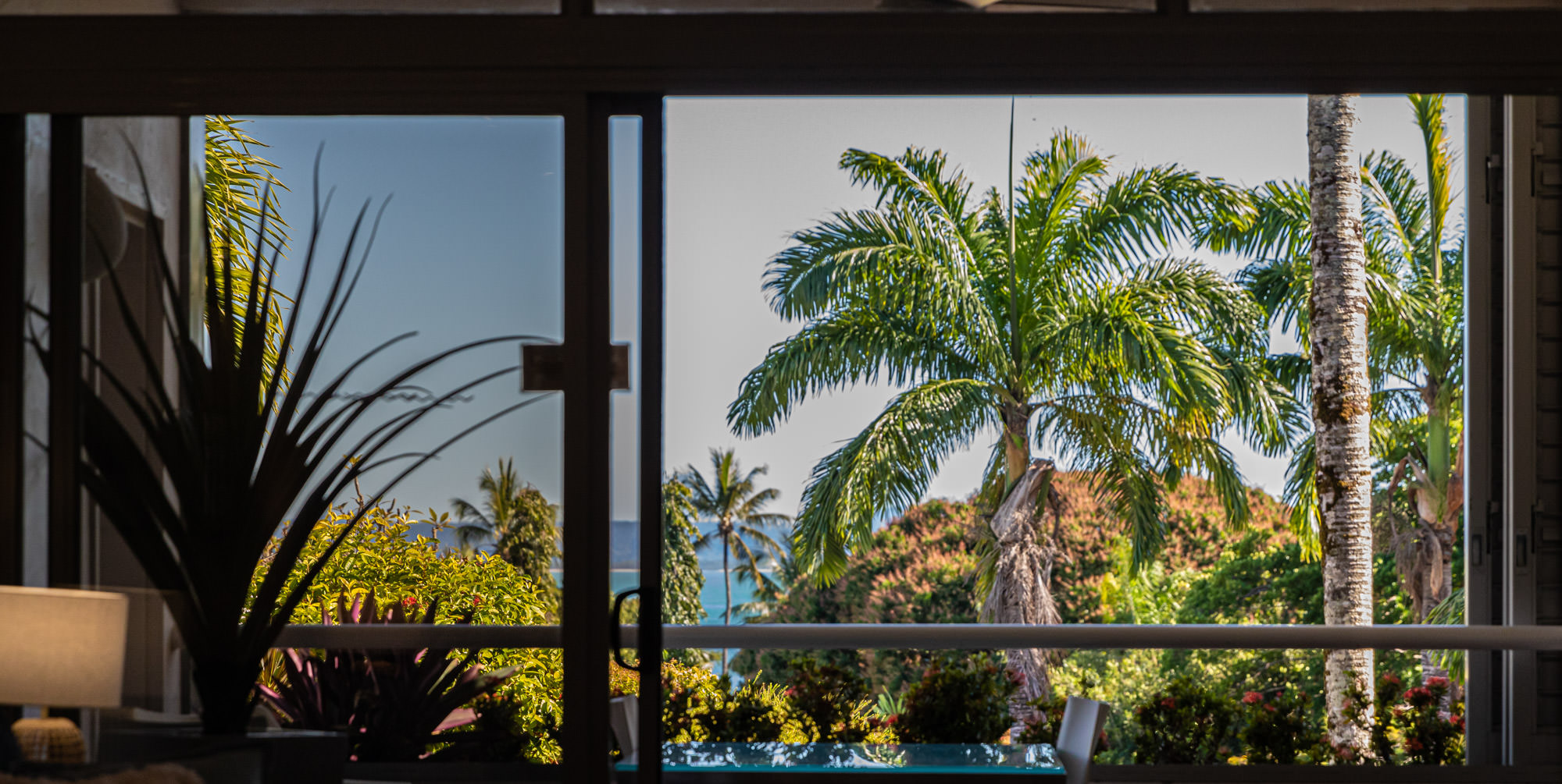 Sun Coast Haven Studio Apartment
