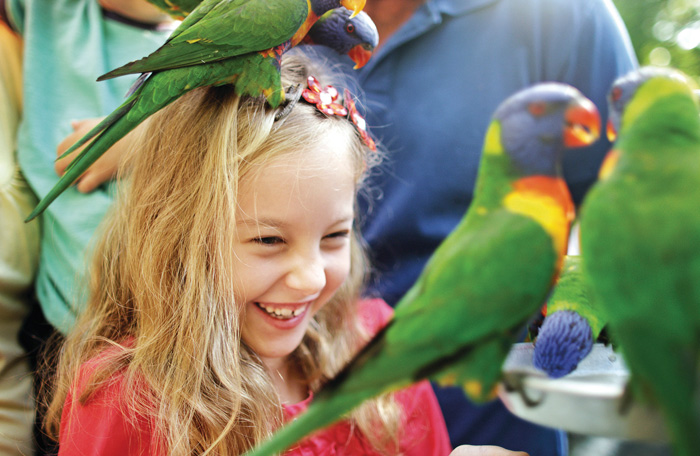 Currumbin Wildlife Sanctuary