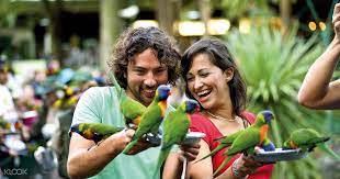 Currumbin Wildlife Sanctuary