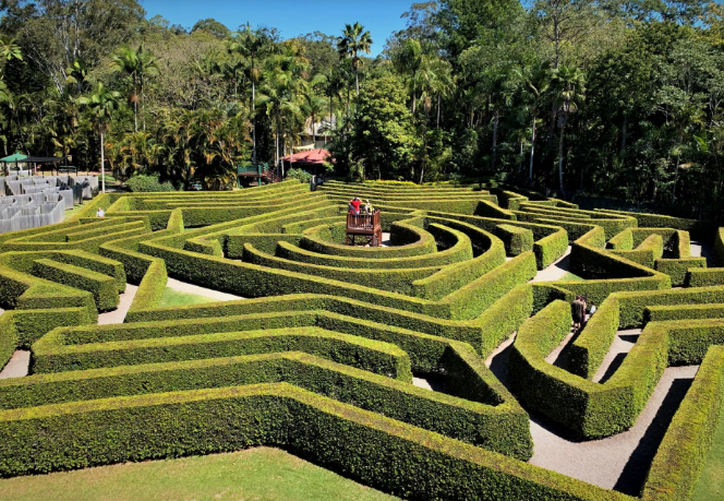 Amazing Mazes