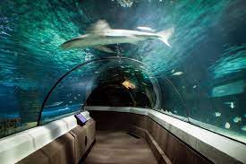 SEA LIFE Sunshine Coast Aquarium