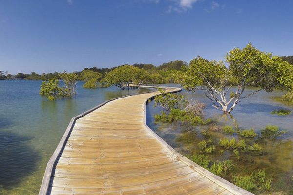 Currumbin Board Walk