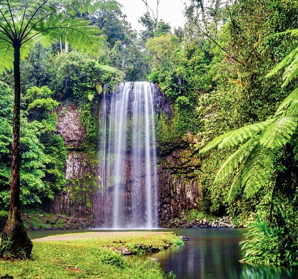 Cairns Tablelands