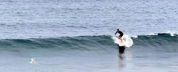 The Bay Surf at Bundeena