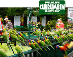 Currumbin Wildlife Sanctuary