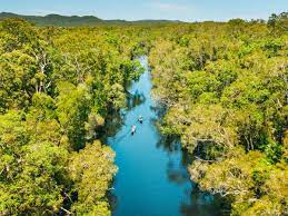 The Noosa Everglades