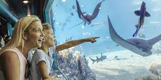 Sea World