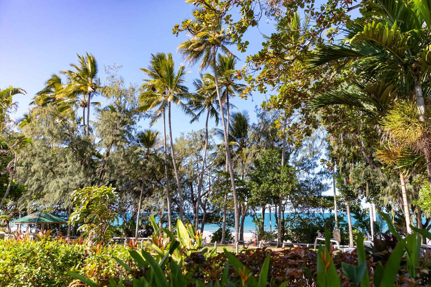 BEA 2 Bedroom Family Garden Apartment (Beaches)
