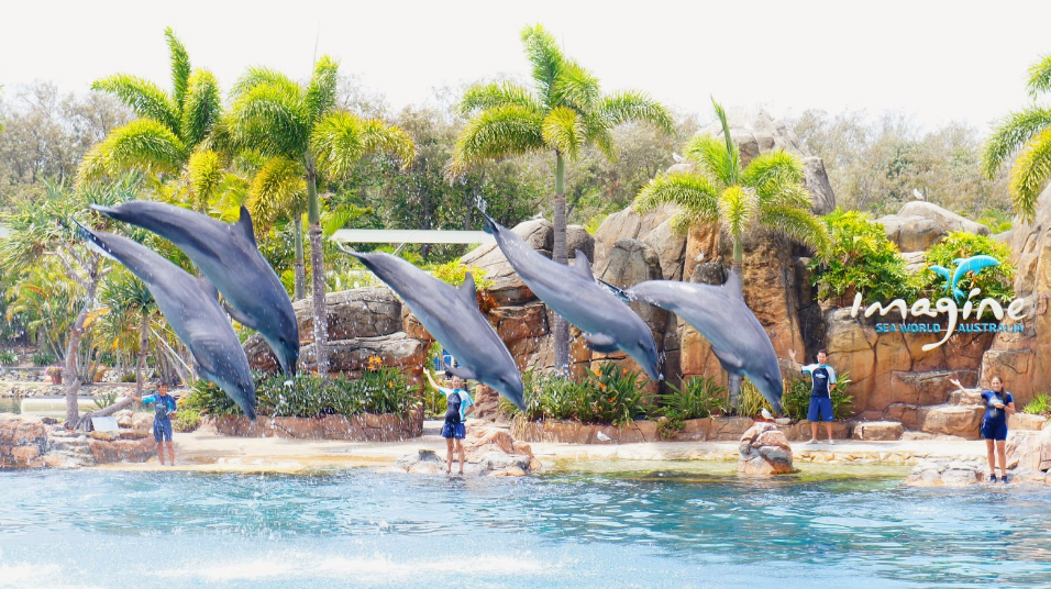 Sea World