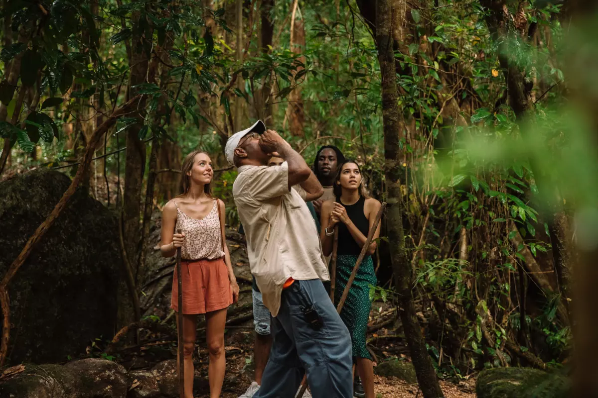 INDIGENOUS TOURS