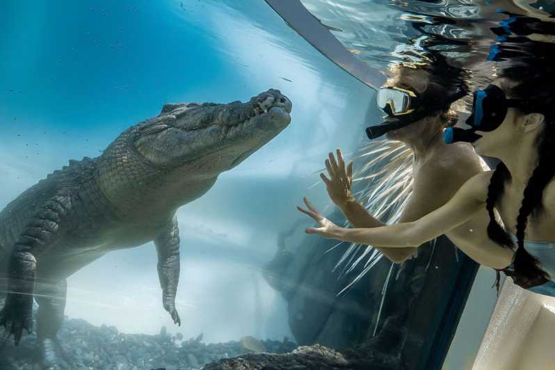 WILDLIFE EXPERIENCES