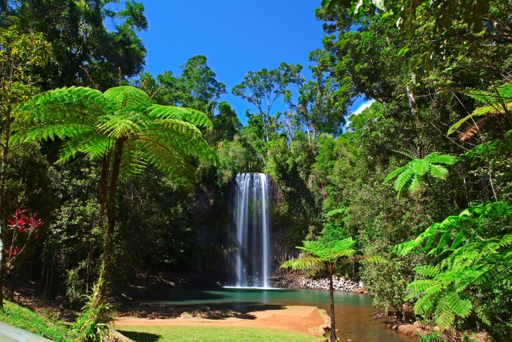 WATERFALL CHASING