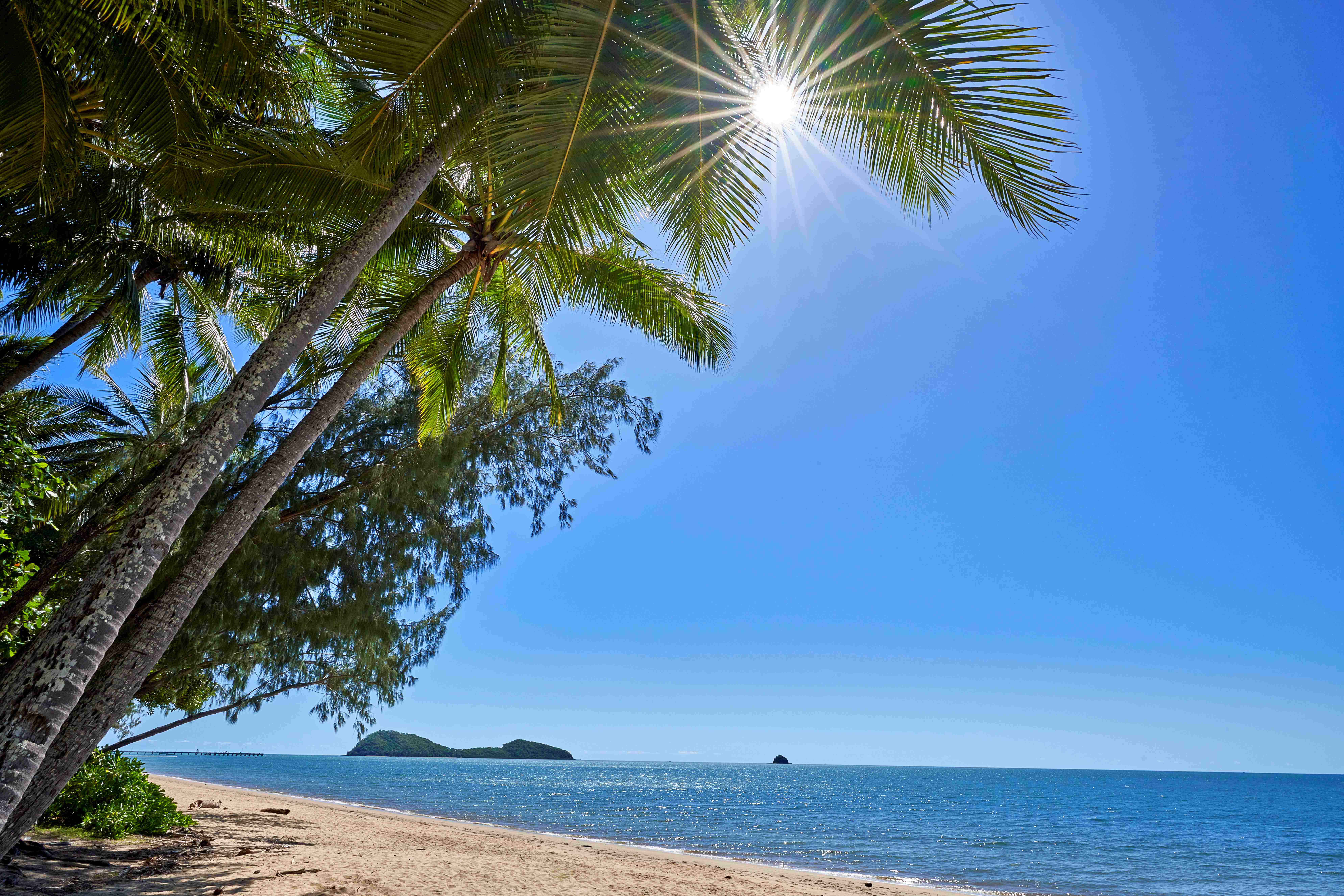 Pippi at Palm Cove - Melaleuca 17
