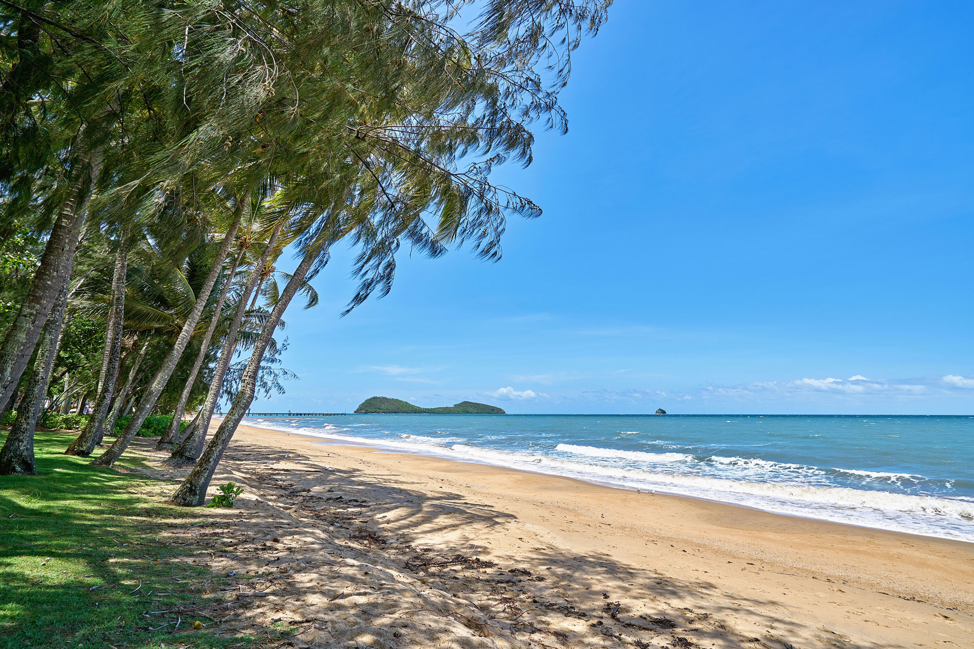 Pippi at Palm Cove - Melaleuca 17