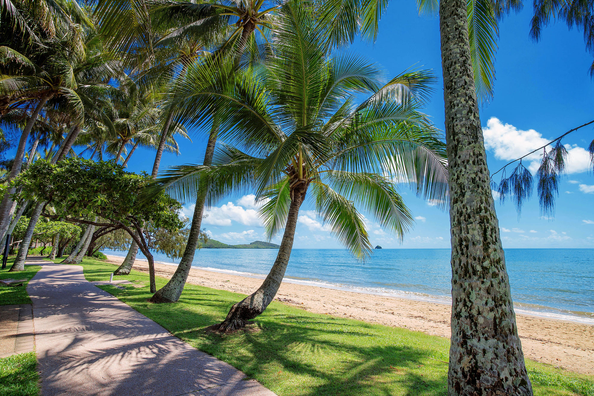 Pippi at Palm Cove - Melaleuca 17