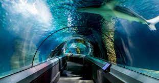 SEA LIFE Sunshine Coast Aquarium