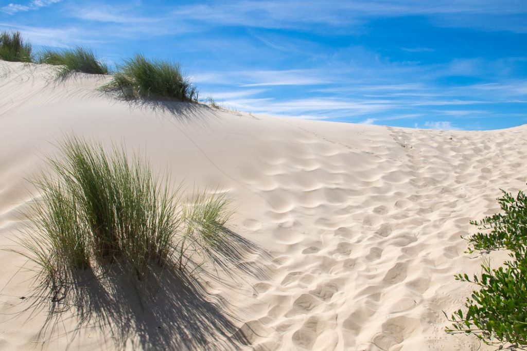 Sand Dunes