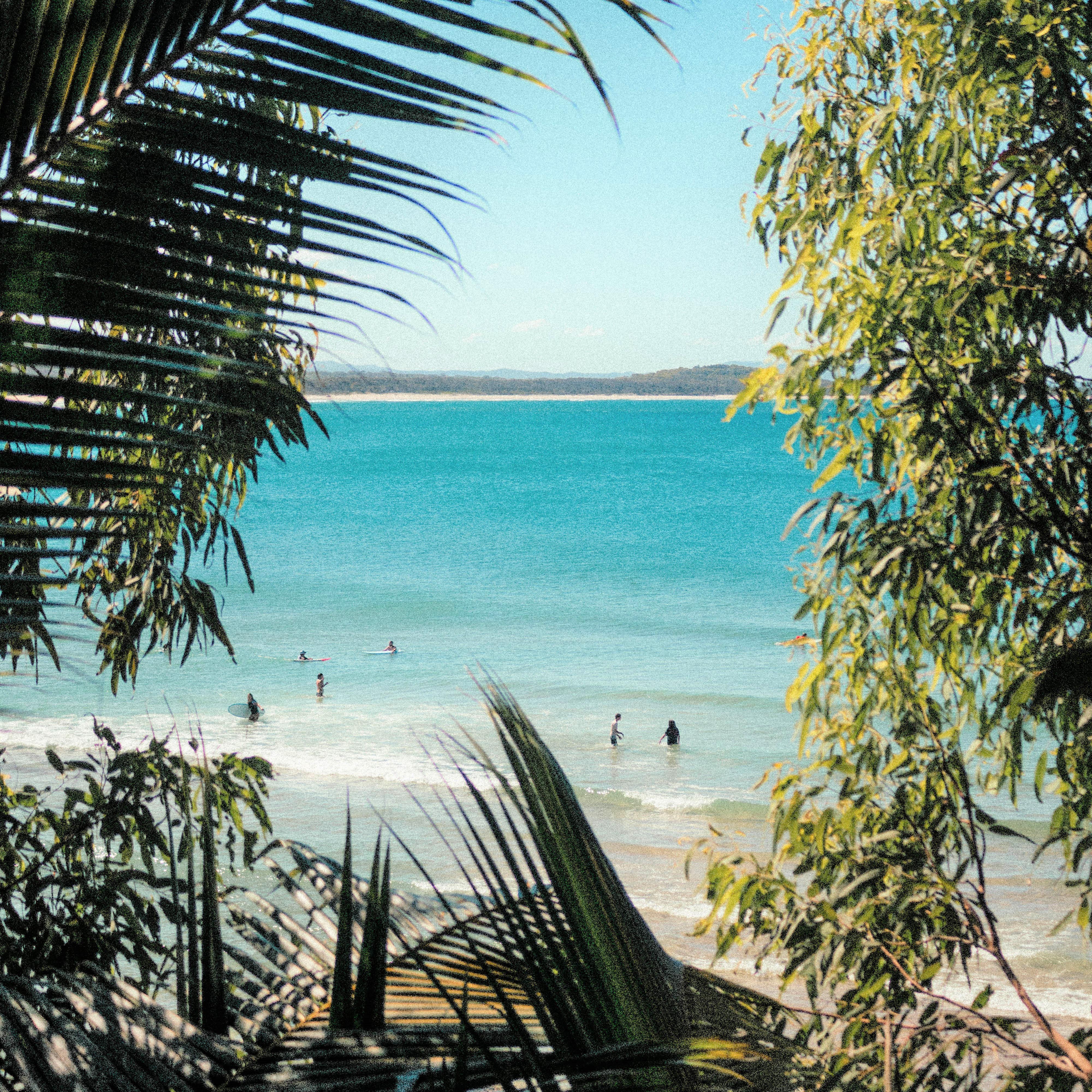 Noosa National Park