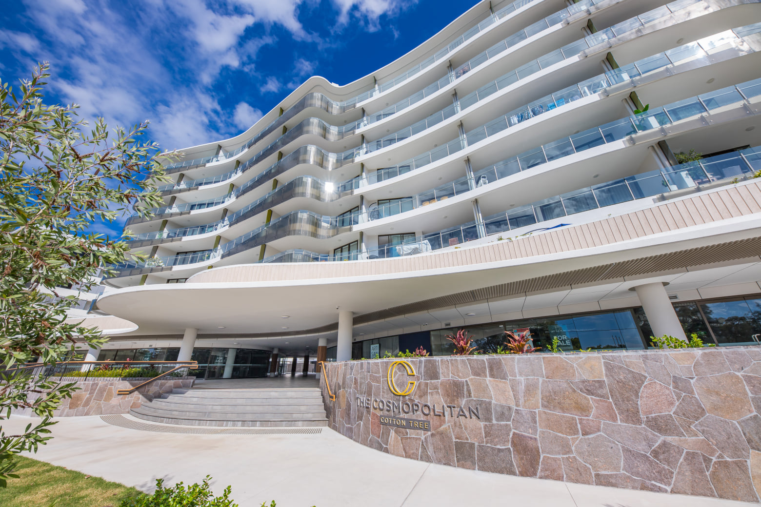 THE COSMOPOLITAN COTTON TREE