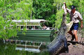 Hartley's Crocodile Adventures 