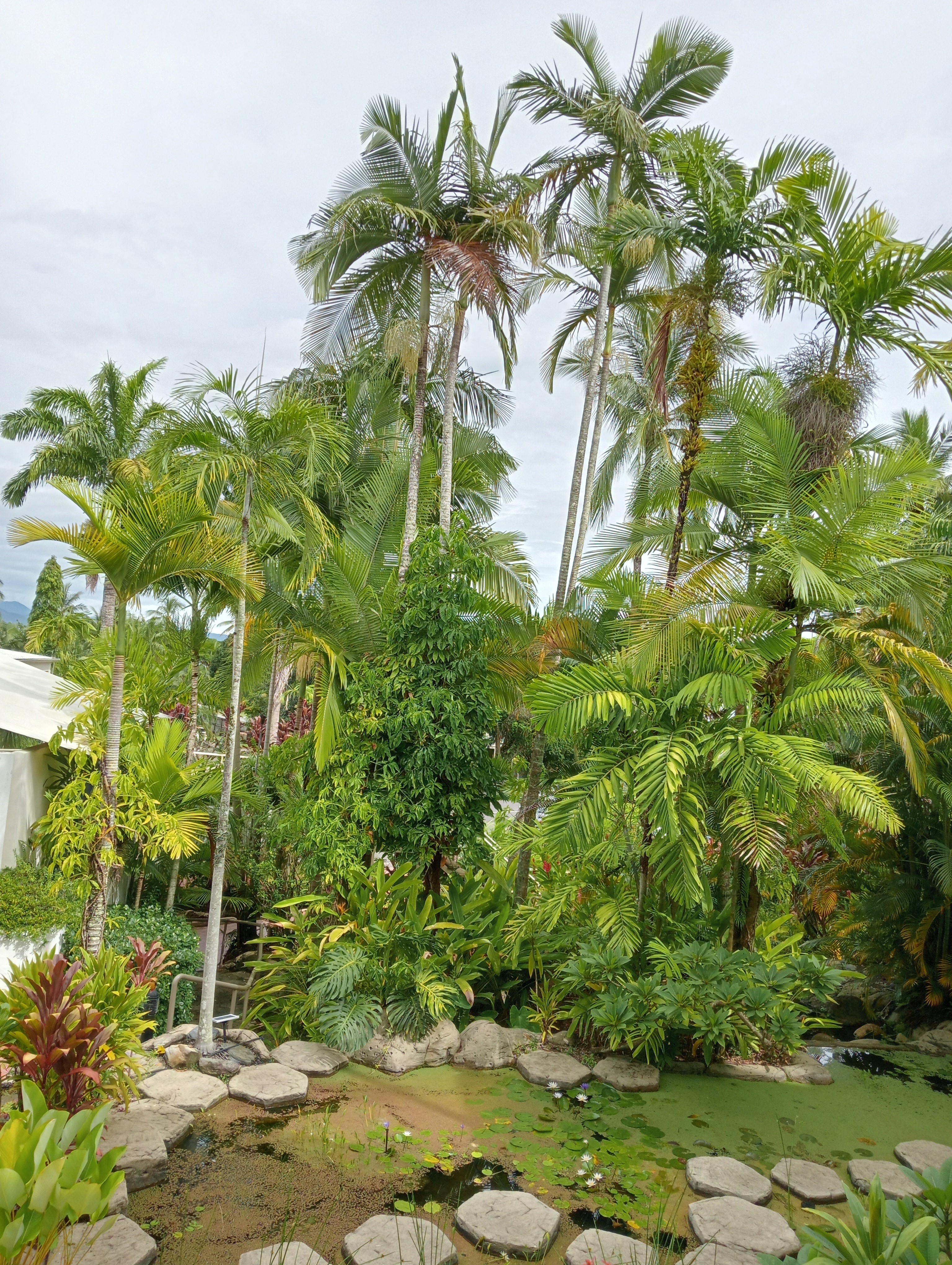 Club Studio with Water Garden Views