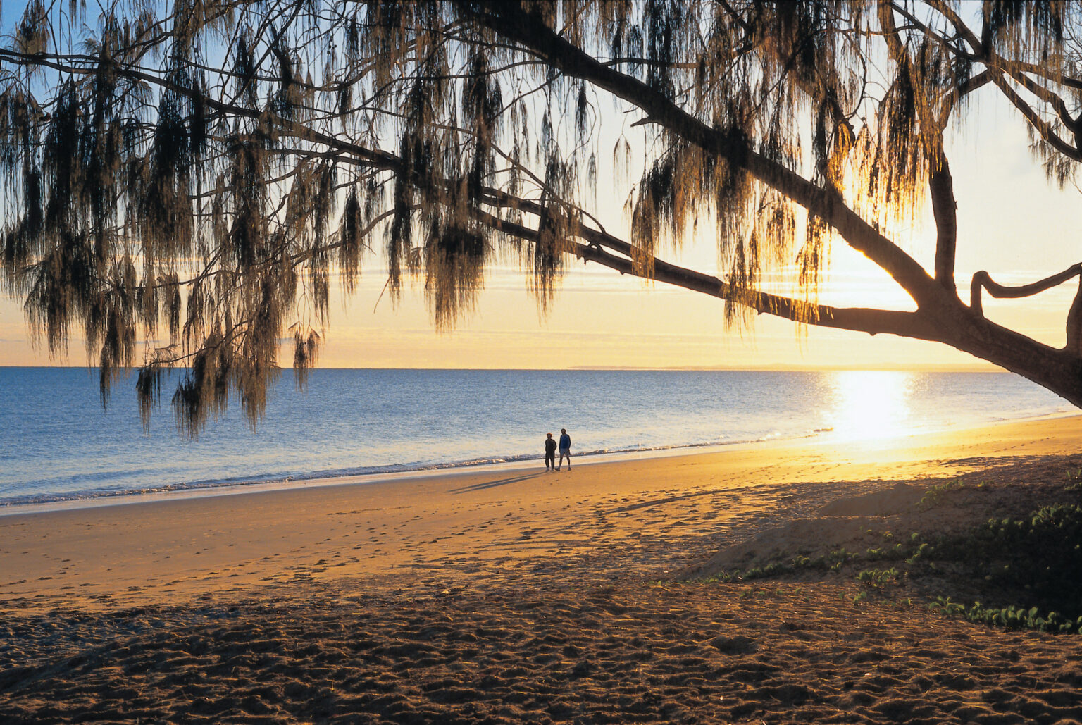 Beach Walk
