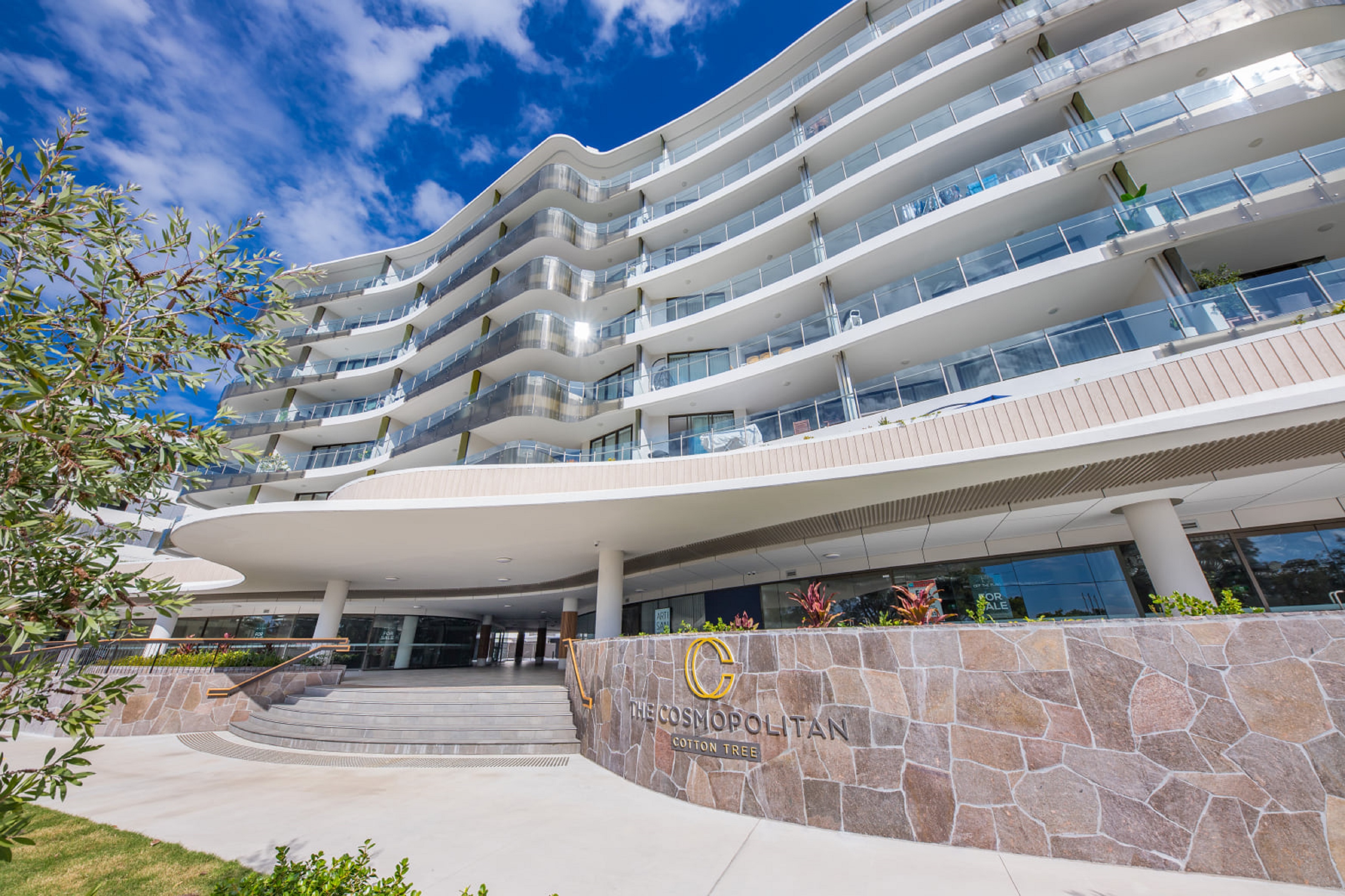 The Cosmopolitan Cotton Tree