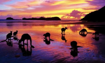 Cape Hillsborough National Park