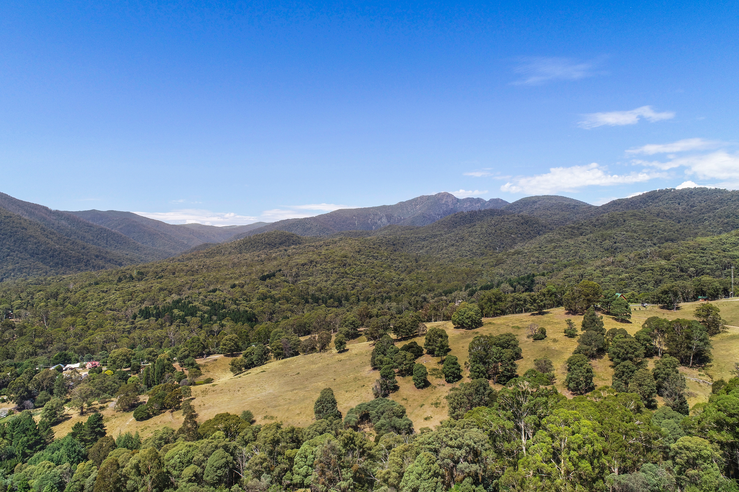 Alpine Twin Heights