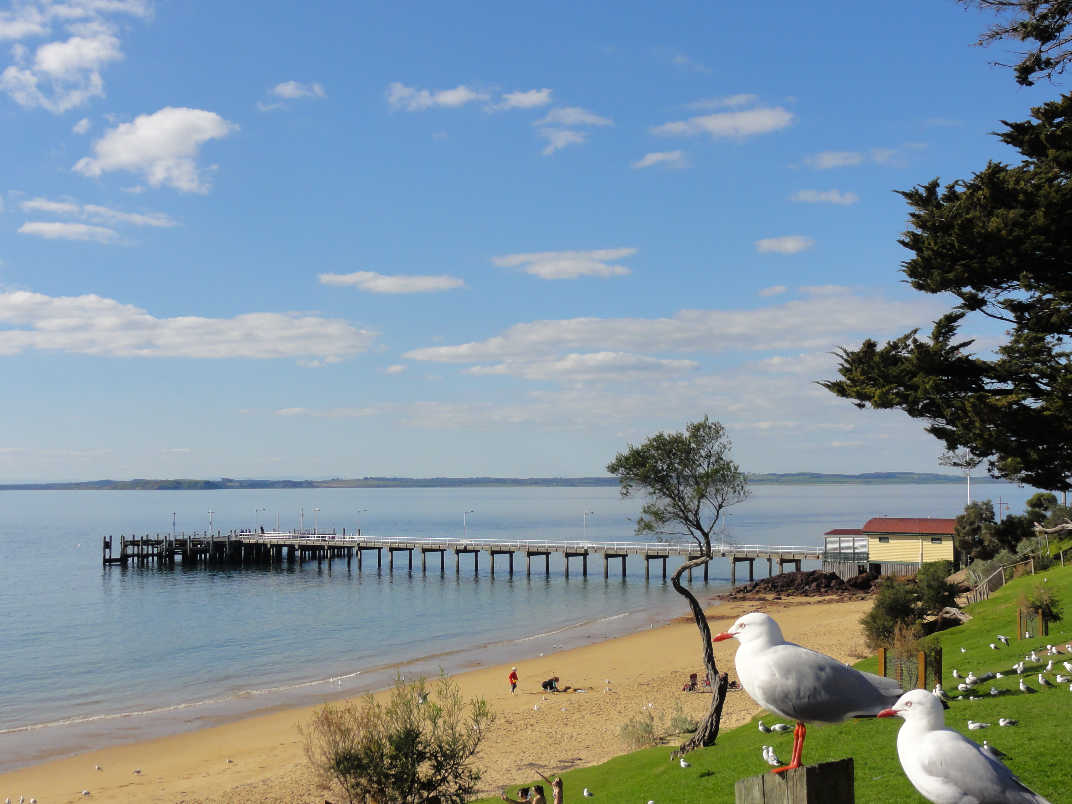 Cowes is the main village of Phillip Island. 