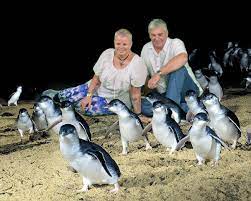 Penguin Parade