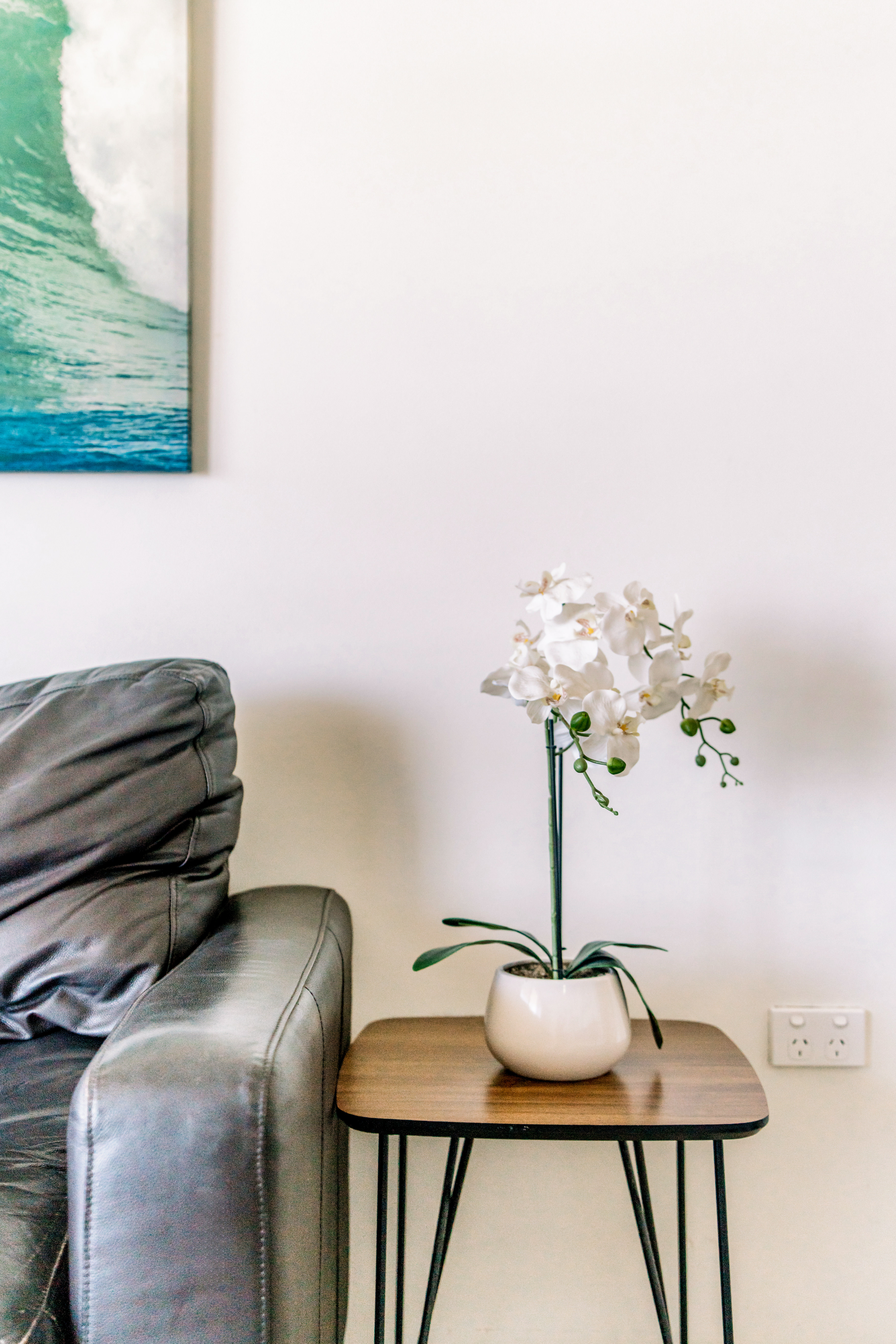 1 Bedroom Standard Apartment