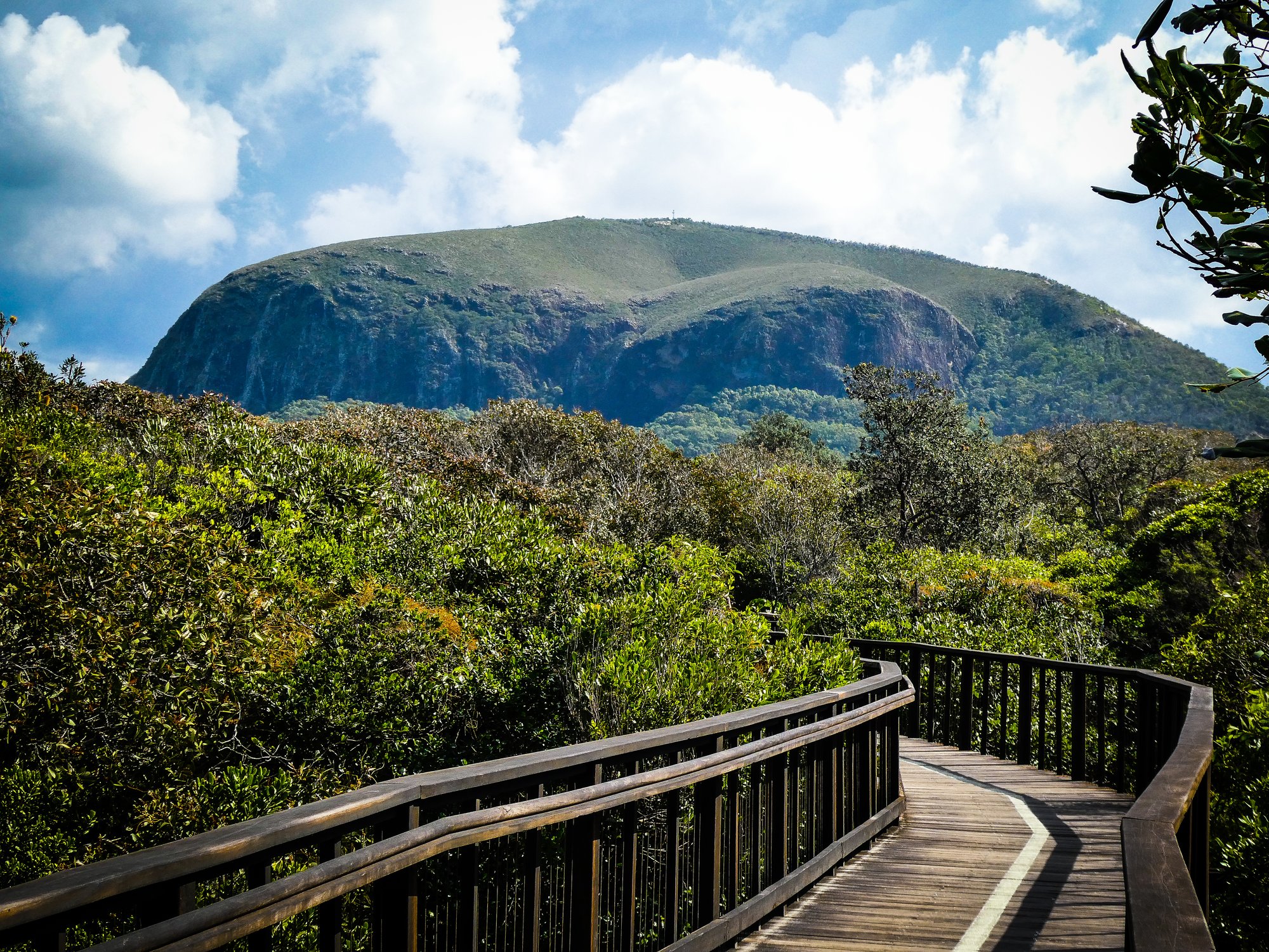 Mount Coolum National Park Climb