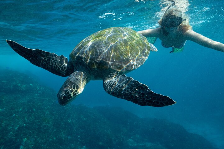 Cape Byron Marine Park