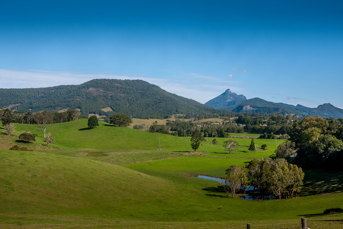 Byron Bay Hinterland
