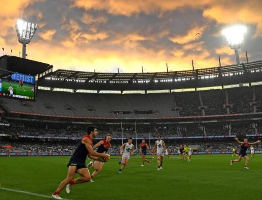 Australian Football League (AFL)
