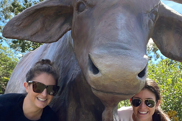 Snap a Bull selfie!