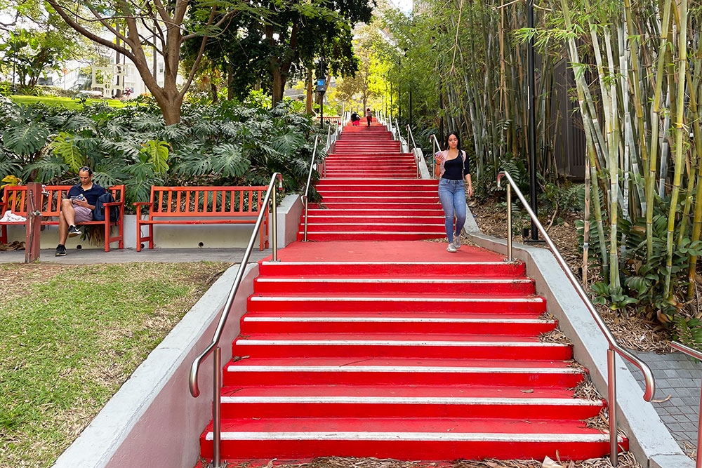 Jacob's Ladder