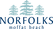 The Norfolks on Moffat Beach 