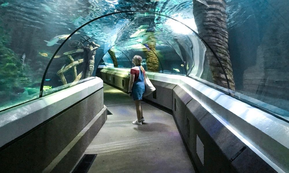 SEA LIFE 