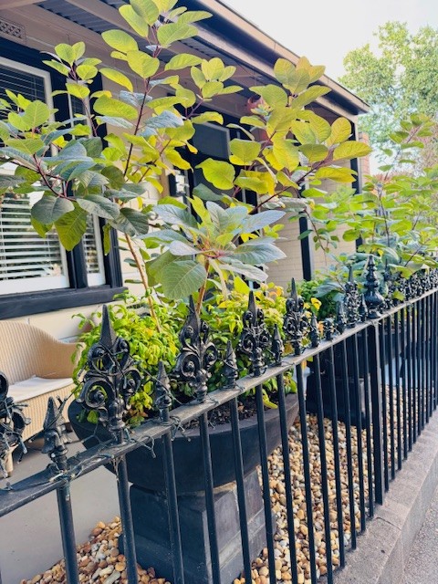 ELM COTTAGE SOUTH MELBOURNE LUXURY, LIFESTYLE & LOCATION